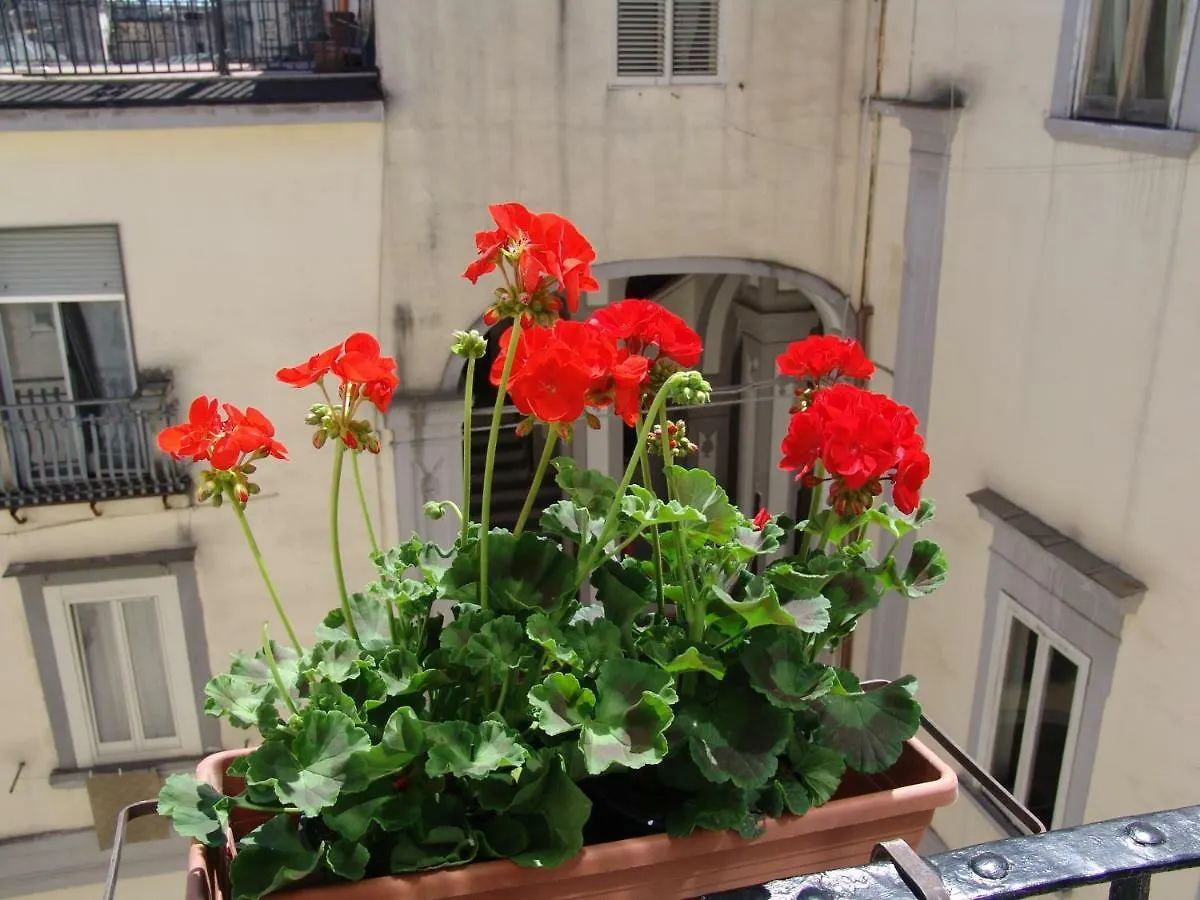 Hotel Terrazza Dei Principi Nápoles Pensión